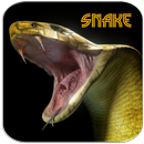 Snake Sounds APK