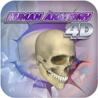 PlayAR Human Anatomy Chart icon
