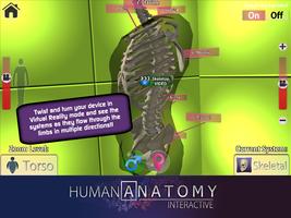 PlayAR Human Anatomy Chart imagem de tela 3