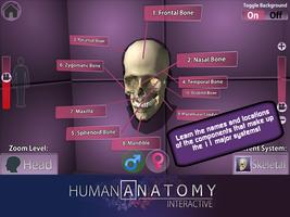 PlayAR Human Anatomy Chart poster