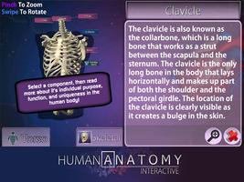 PlayAR Human Anatomy Chart imagem de tela 2