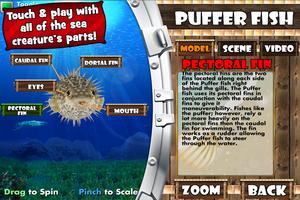 PlayAR Sea Life 4D screenshot 2