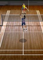 Play Badminton Free 3D Affiche