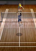 Play Badminton Free 3D plakat