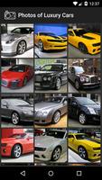 Photos of Luxury Cars Affiche