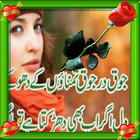 Love Urdu Latest poetry 2016 아이콘