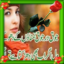 Love Urdu Latest poetry 2016 APK