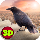City Bird Crow Simulator 3D أيقونة