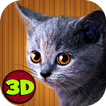 Home Kitten Simulator 3D