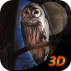 Owl Bird Survival Simulator 3D ícone