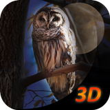 Owl Bird Survival Simulator 3D アイコン