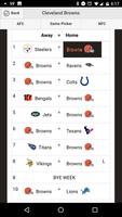 NFL Playoff Predictors پوسٹر