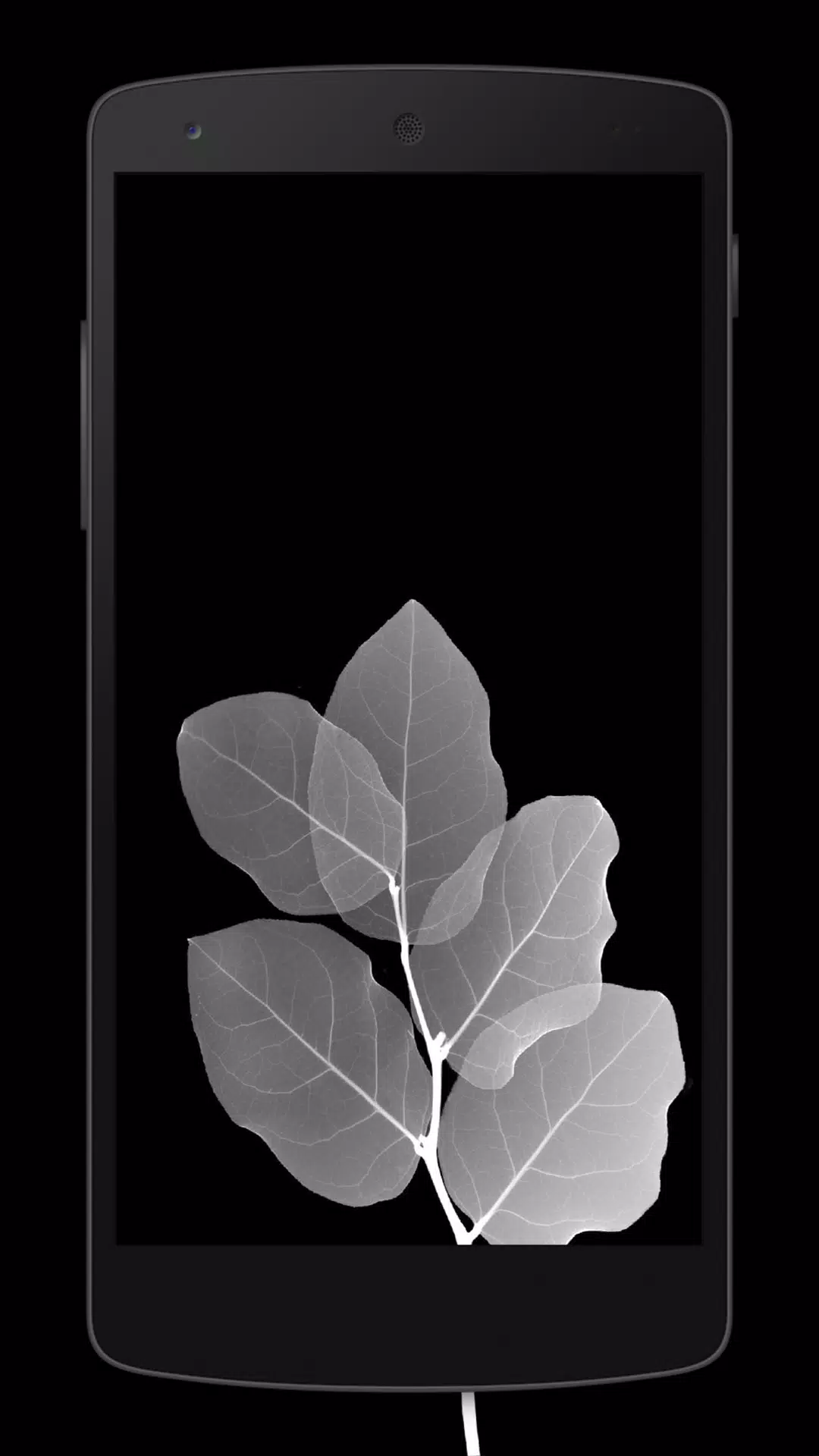 Super AMOLED Wallpaper 4K | Full HD | Backgrounds APK for Android Download