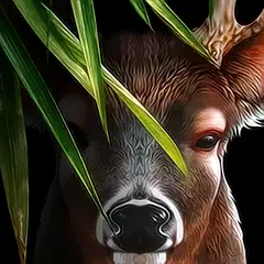 Descargar XAPK de Life Of Deer