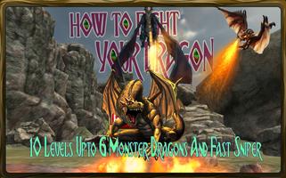 Poster How To Fight and Kill Dragons