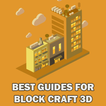 Guides for Block Craft 3D