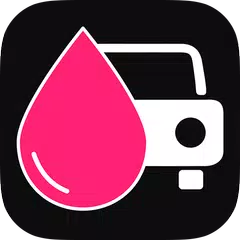 Costo Carburante