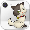 Augmented Cat APK