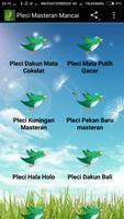 Pleci Masteran Mancai โปสเตอร์