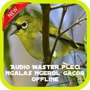 Pleci Ngalas Ngerol Gacor Offline APK