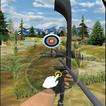 Guide Archery Master 3D