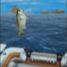 Guides Ace Fishing: Wild Catch アイコン