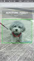 Dog Breeds AI تصوير الشاشة 3