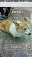 Dog Breeds AI تصوير الشاشة 2