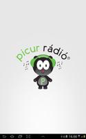 Picur Rádió স্ক্রিনশট 2