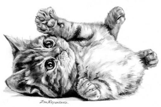 Sketsa gambar kucing