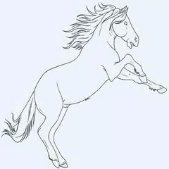 Cara Menggambar Kuda