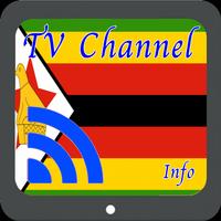 TV Zimbabwe Info Channel Affiche