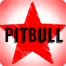 PitBull News & Gossips APK