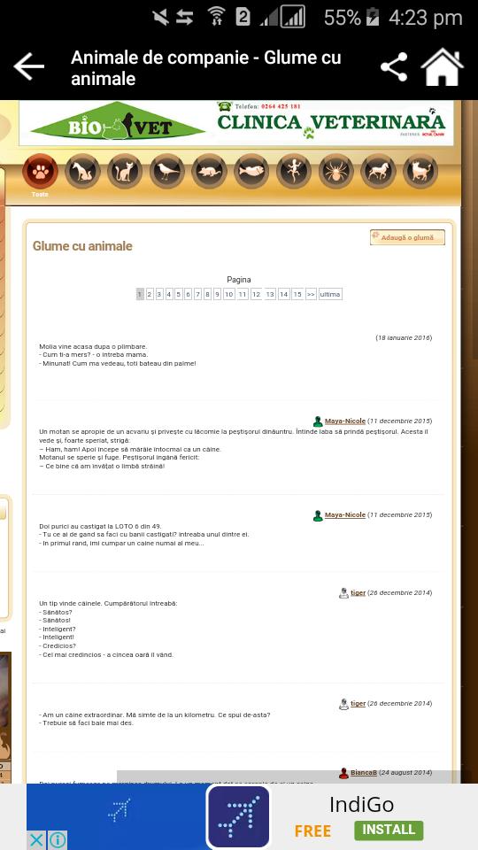 care a câștigat cu adevărat prin internet