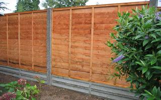 Garden Fence Panels Ideas penulis hantaran