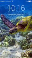 Poster Turtle Live Lock Screen