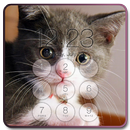 Cat Lock Screen Background APK