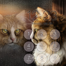 Cat Lock Screen Wallpaper APK