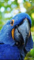 Parrot Lock Screen HD الملصق