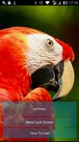 Parrot Lock Screen HD capture d'écran 2