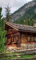 Cabin Jigsaw Puzzles-poster