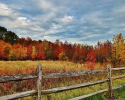 Countryside Jigsaw Puzzles screenshot 3