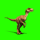恐龙拼图免费游戏 图标