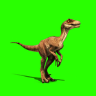 Dinosaurs Jigsaw Puzzle Free Game আইকন