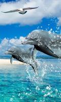 Dolphins Jigsaw Puzzle Game Ekran Görüntüsü 2