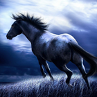 Game Horse Puzzle Free icône