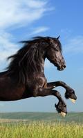 برنامه‌نما Horses Jigsaw Puzzles عکس از صفحه