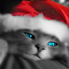 Kitty Christmas Puzzles Free Games icône