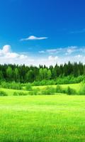 Landscape Jigsaw Puzzle Free Games Affiche