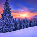 Snow Landscape Jigsaw Puzzle-APK